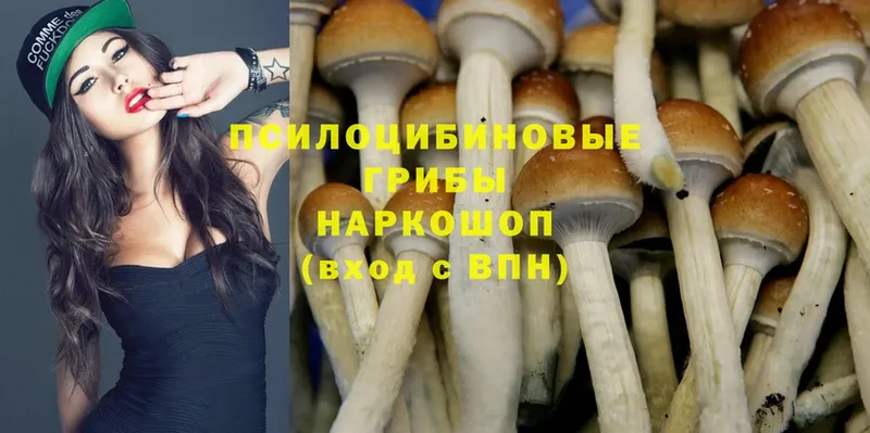 Галлюциногенные грибы Psilocybe  MEGA ссылки  Нижние Серги 